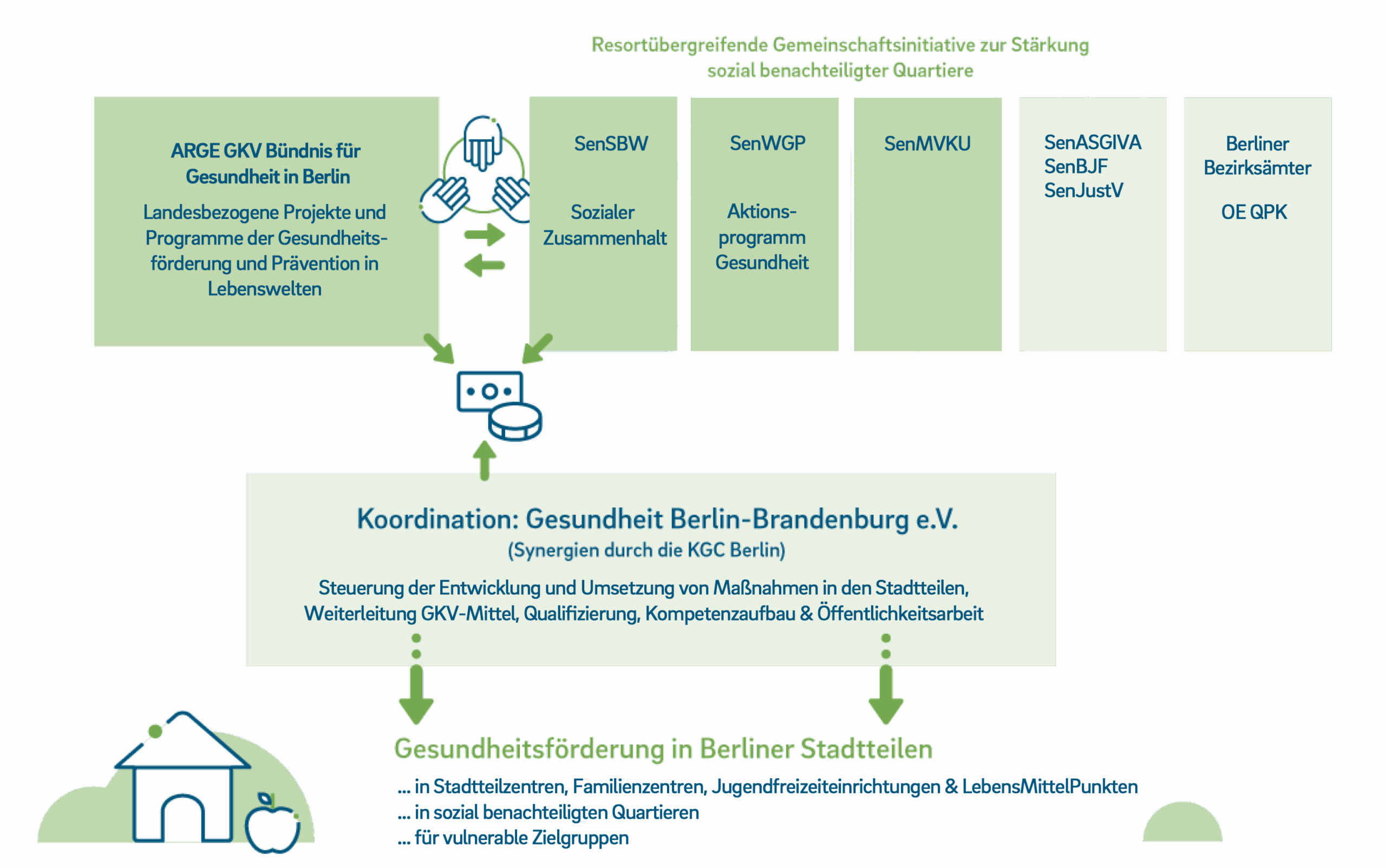 Eine schematische Darstellung die über die Organisation / Struktur der Gesundheitsförderung in Berlin informiert